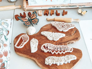 Kinfolk Pantry Butterfly Life Cycle Eco Cutter Set