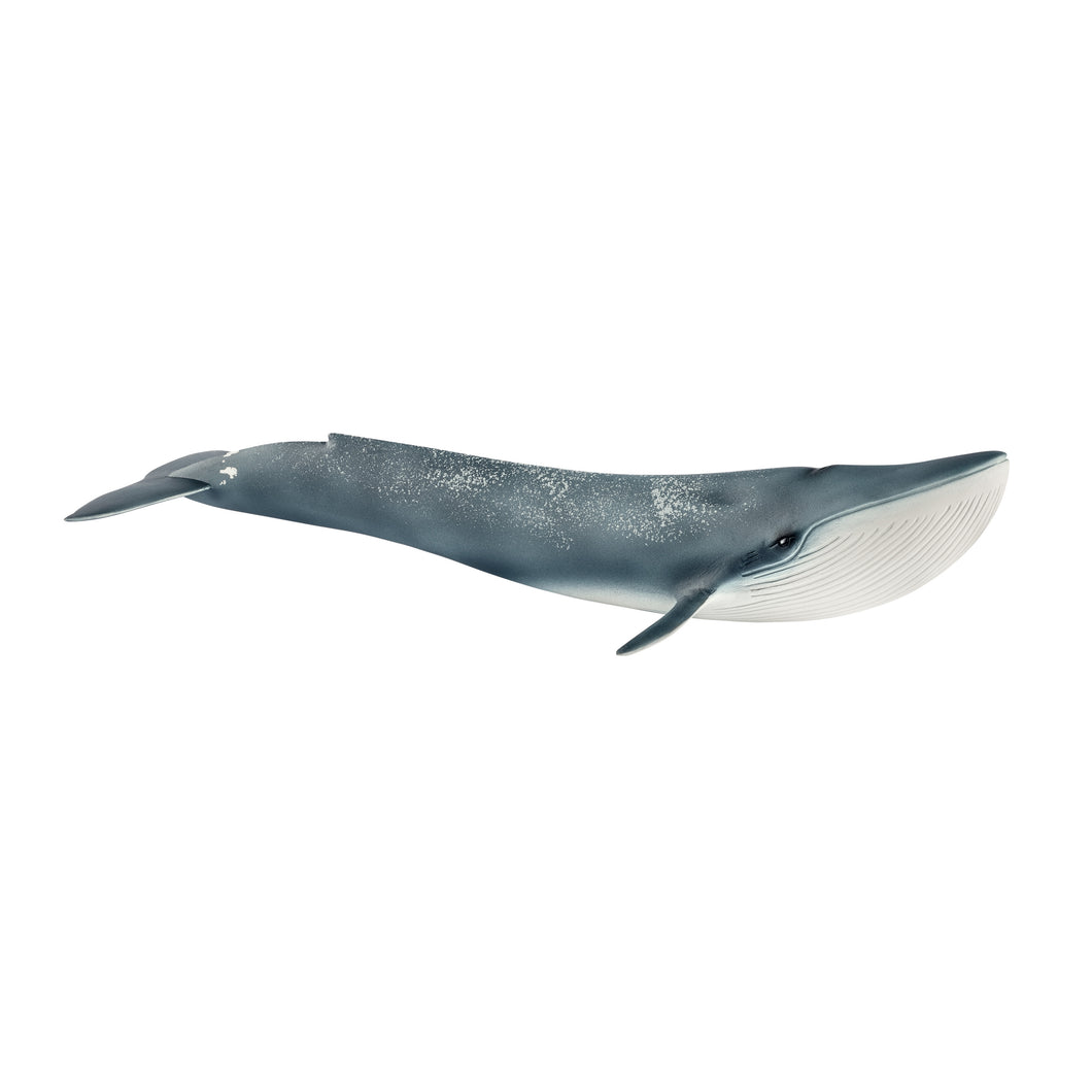 Schleich Blue Whale