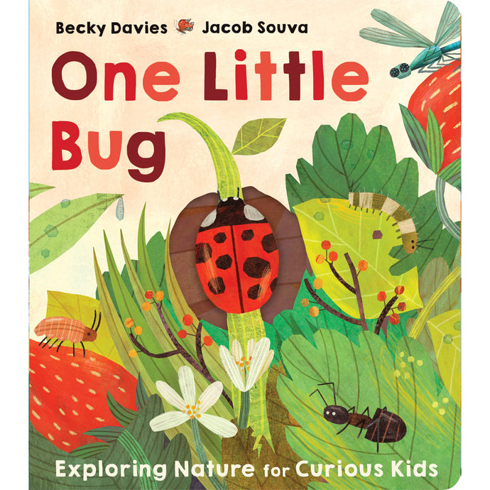 One Little Bug Book