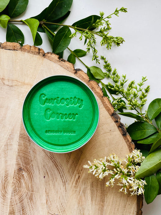 Curiosity Corner Sensory Dough 300g - Leaf Zest Green