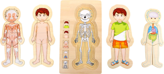 Small Foot Layer Puzzle Anatomy Boy