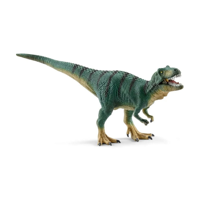 Schleich Tyrannosaurus Juvenile