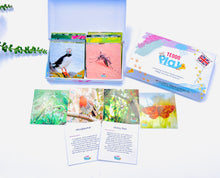 Load image into Gallery viewer, TEDDO PLAY 20 LEARNING CARDS MINI SET - BEAUTIFUL BIRDS &amp; INSECTS (Lesser known facts)