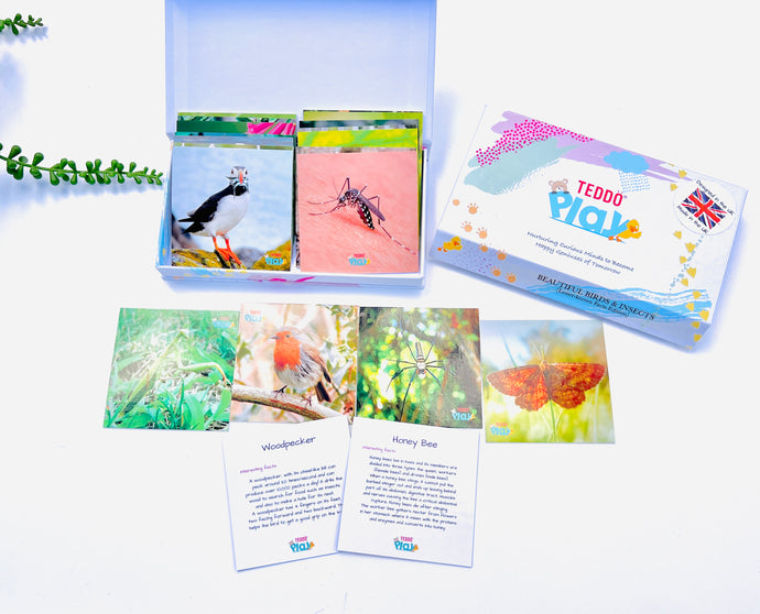 TEDDO PLAY 20 LEARNING CARDS MINI SET - BEAUTIFUL BIRDS & INSECTS (Lesser known facts)