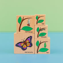 Load image into Gallery viewer, Freckled Life Cycle Wooden Blocks