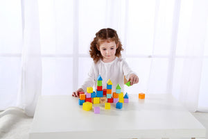 Tooky Toy Wooden 39 Piece Block Tub