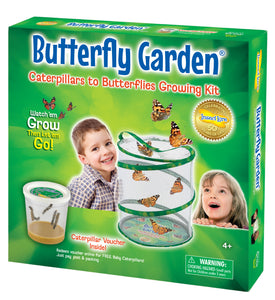 Insect Lore Butterfly Garden with 3-5 LIVE Caterpillars