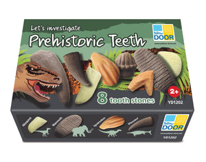 Yellow Door Let’s Investigate - Prehistoric Teeth