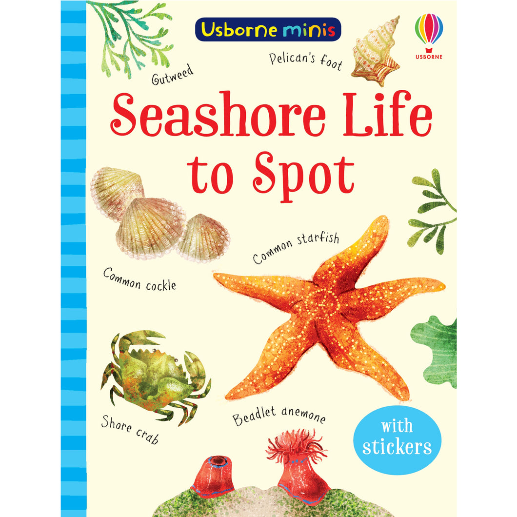 Seashore Life to Spot - Usbourne Mini