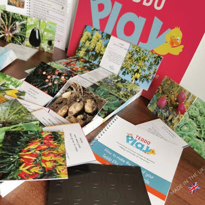 TEDDO PLAY 40 LEARNING CARDS -WHERE OUR FOOD GROWS