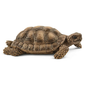 Schleich Tortoise Home