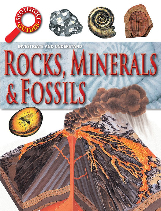 Spotlight Guides: Rocks & Fossils