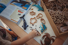 Load image into Gallery viewer, Kinfolk Pantry Mini Under the Sea Eco Cutter Set