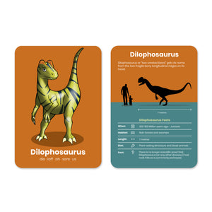 Happy Little Doers Learn Dinosaur Flashcards