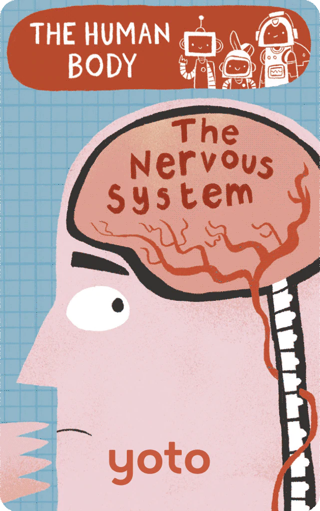 Yoto Audio Card - The Human Body: The Nervous System
