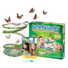 Load image into Gallery viewer, Insect Lore Butterfly Garden with 3-5 LIVE Caterpillars