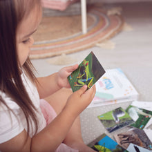Load image into Gallery viewer, TEDDO PLAY 20 LEARNING CARDS MINI SET - What’s the word for that Sound