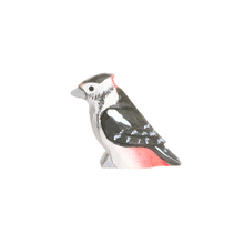 Load image into Gallery viewer, Wudimals® Woodpecker
