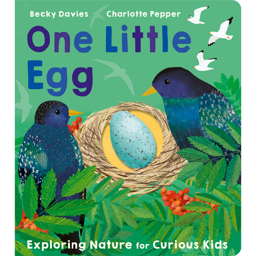 One Little Egg Book