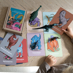 Happy Little Doers Learn Dinosaur Flashcards